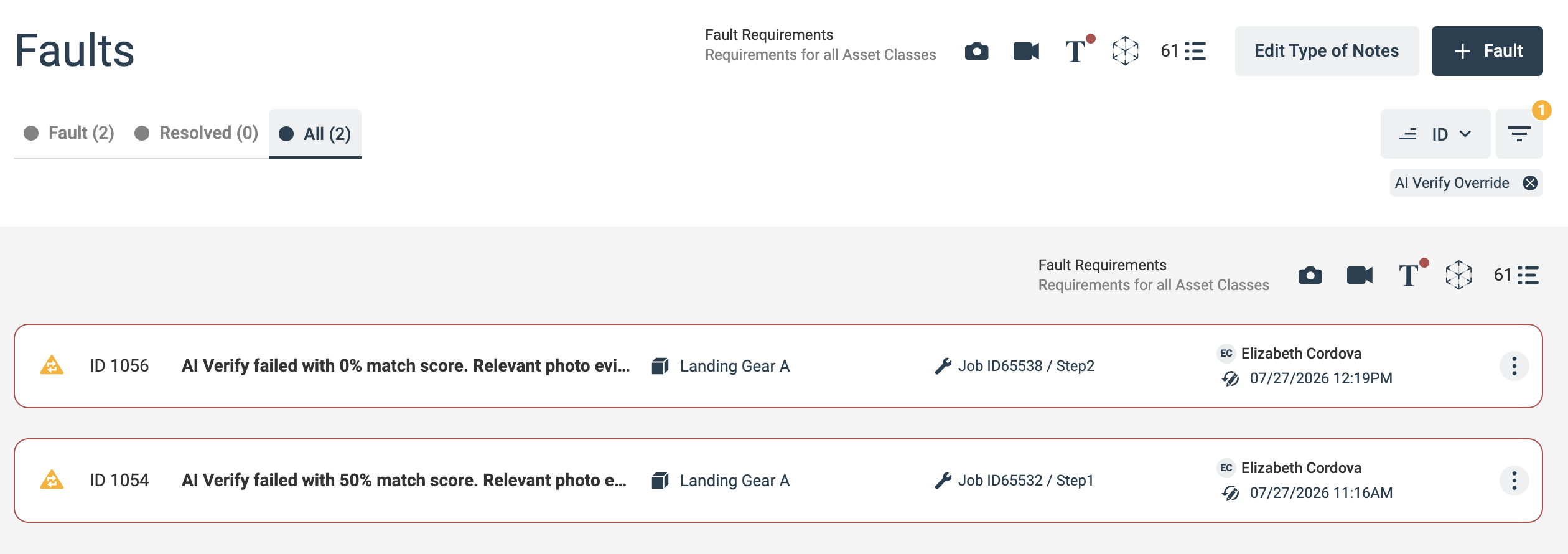 AI Verify Faults