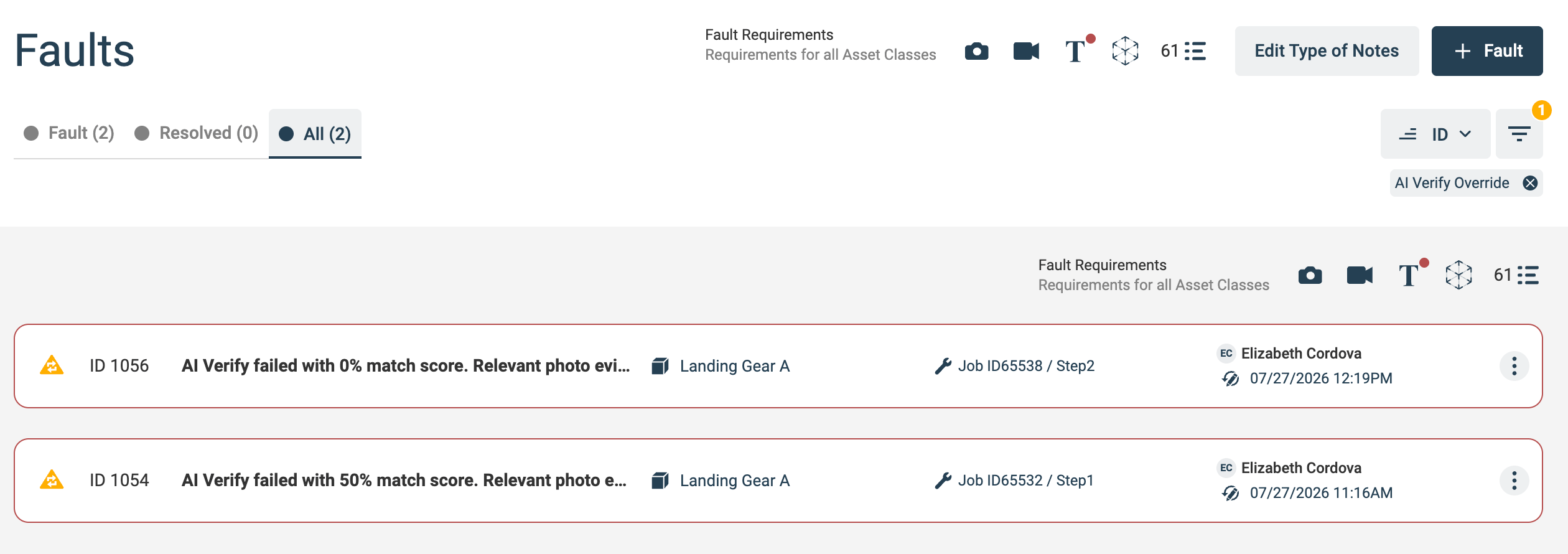 AI Verify Faults