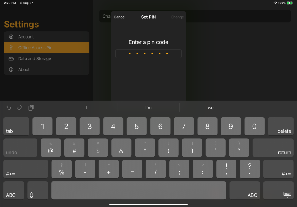 I Pad Settings Offline