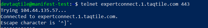 Taqtile Connect Server Success