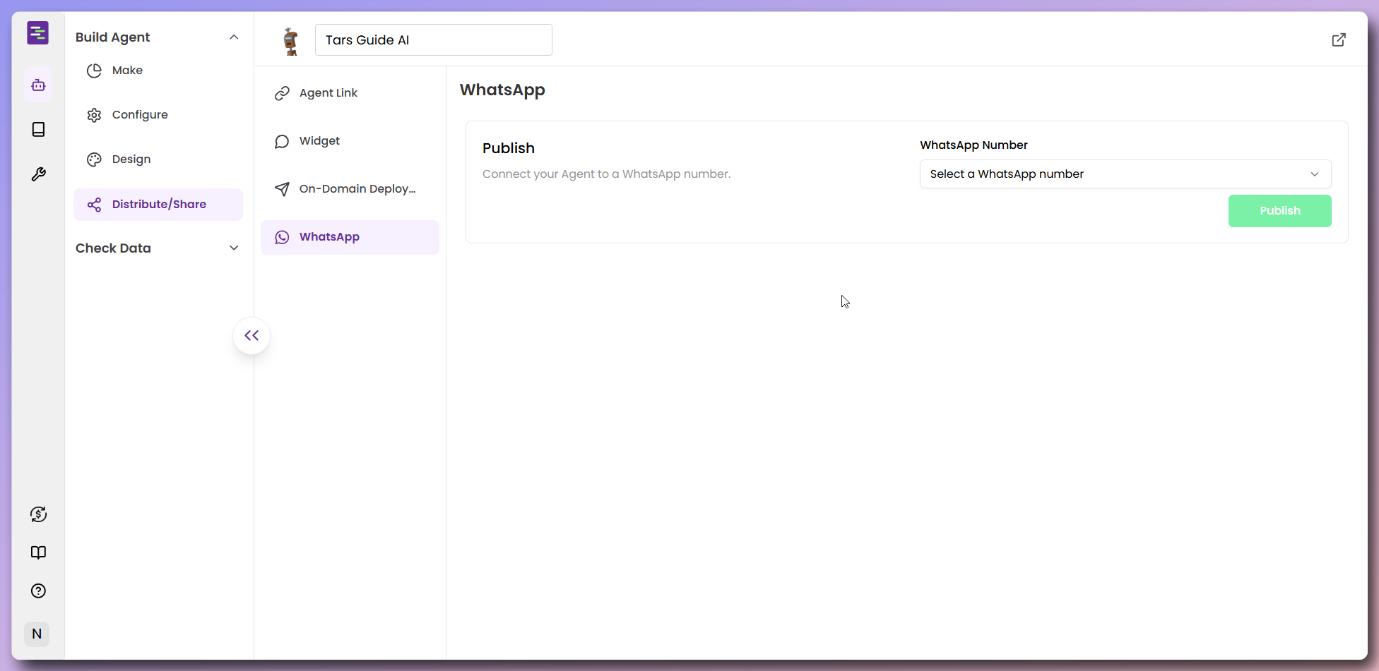 WhatsApp integration and publishing options
