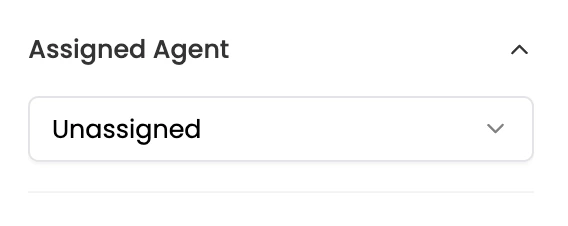 More Details panel showing Visitor Information and Assigned Agent dropdown