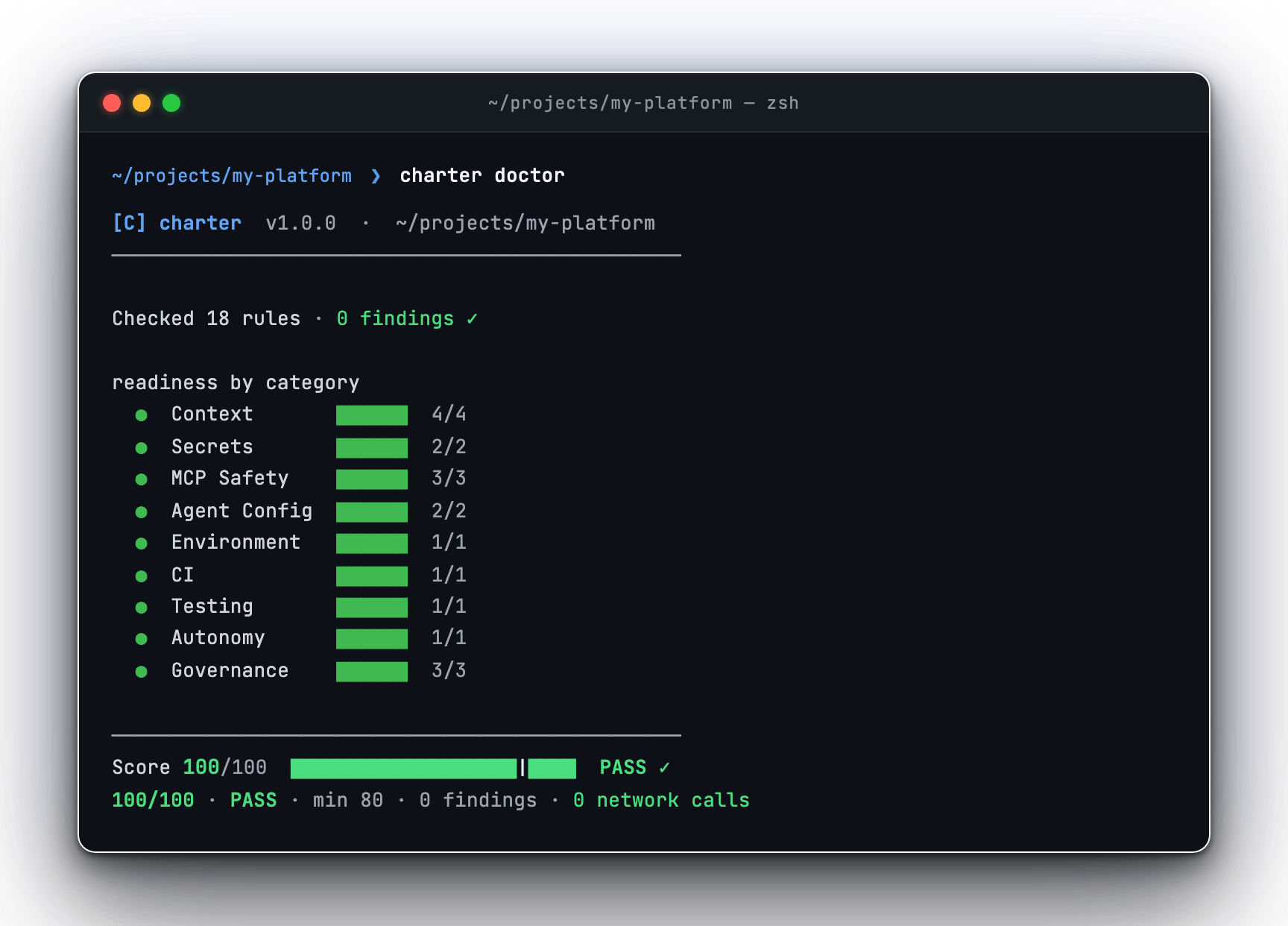 charter doctor output showing 94/100 score