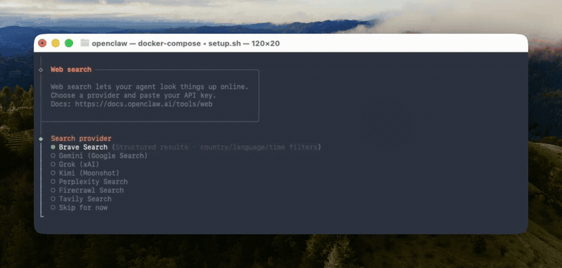 OpenClaw onboarding with Tavily as the web search provider