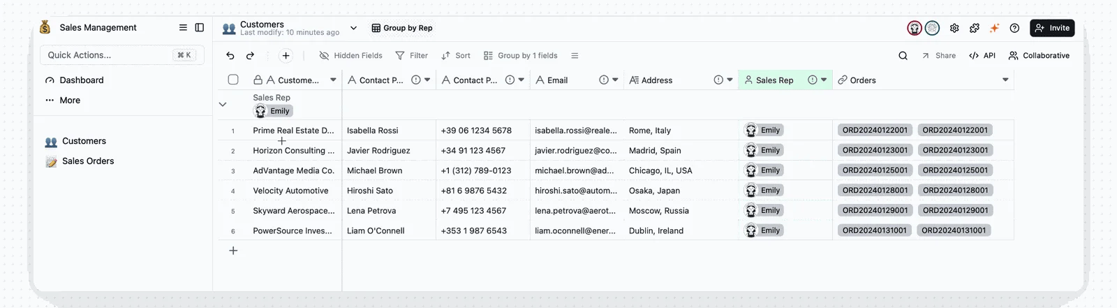 Preview of the Sales Rep view