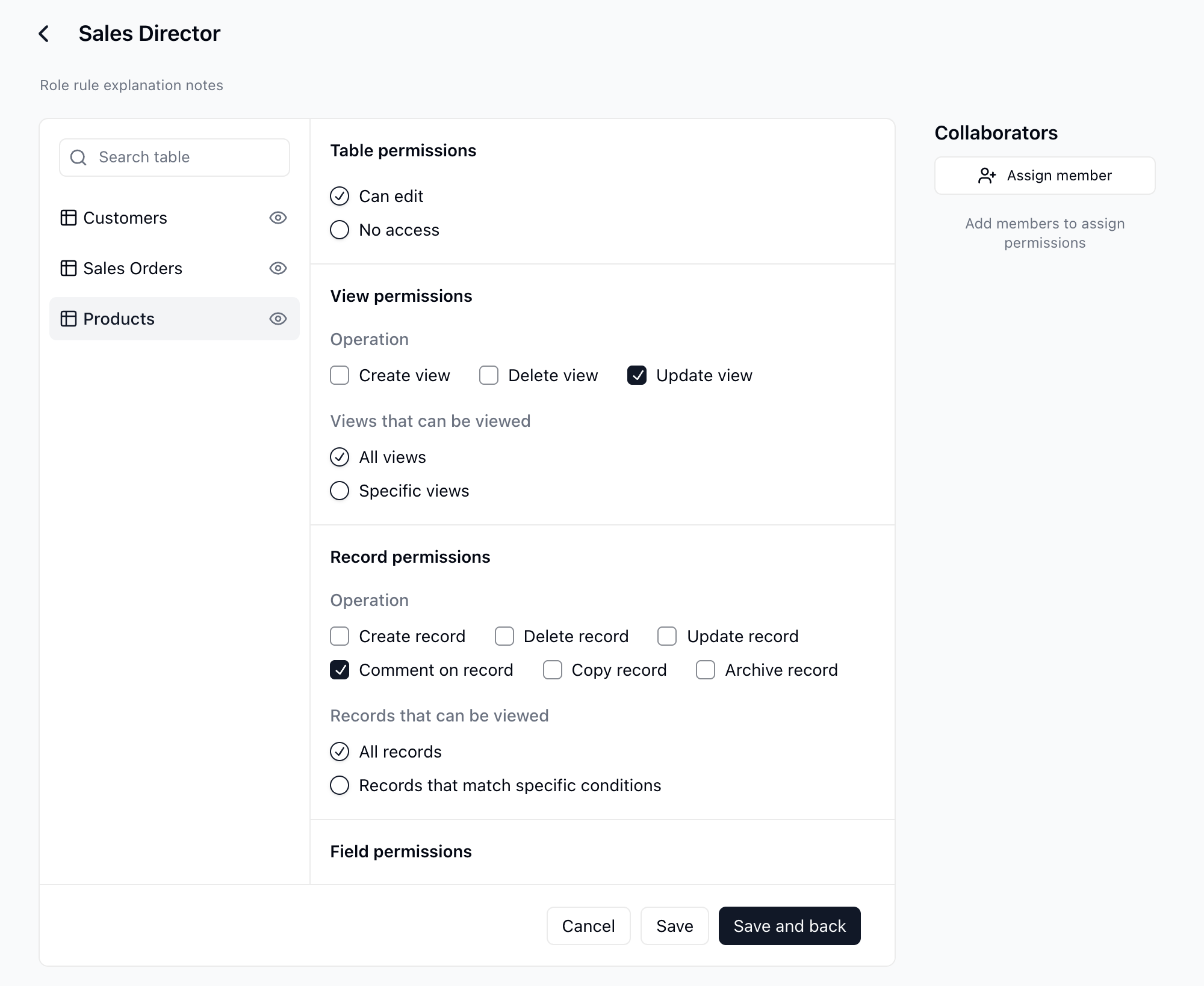 Configurar los permisos del Director de ventas