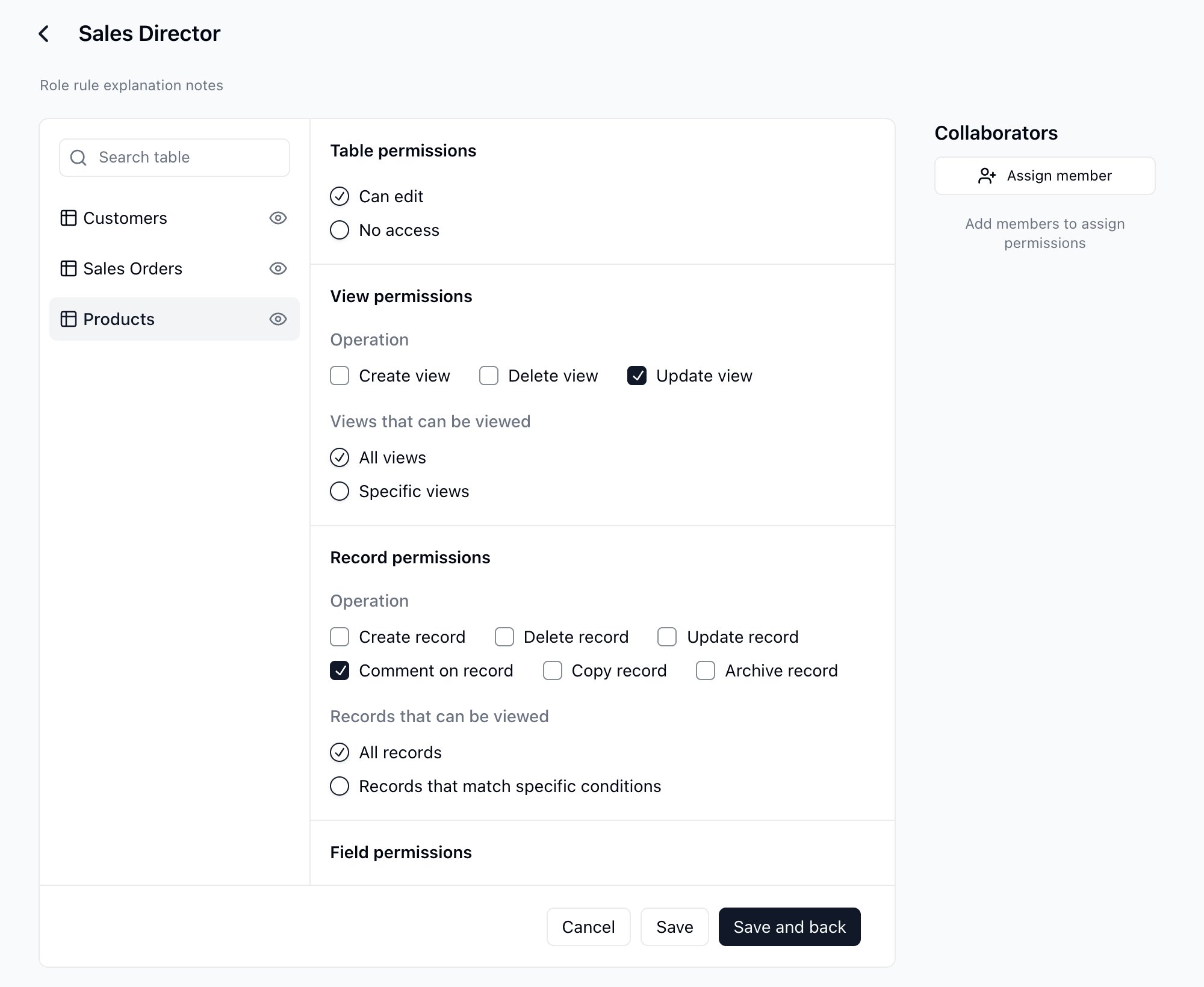 Configurar los permisos del Director de ventas