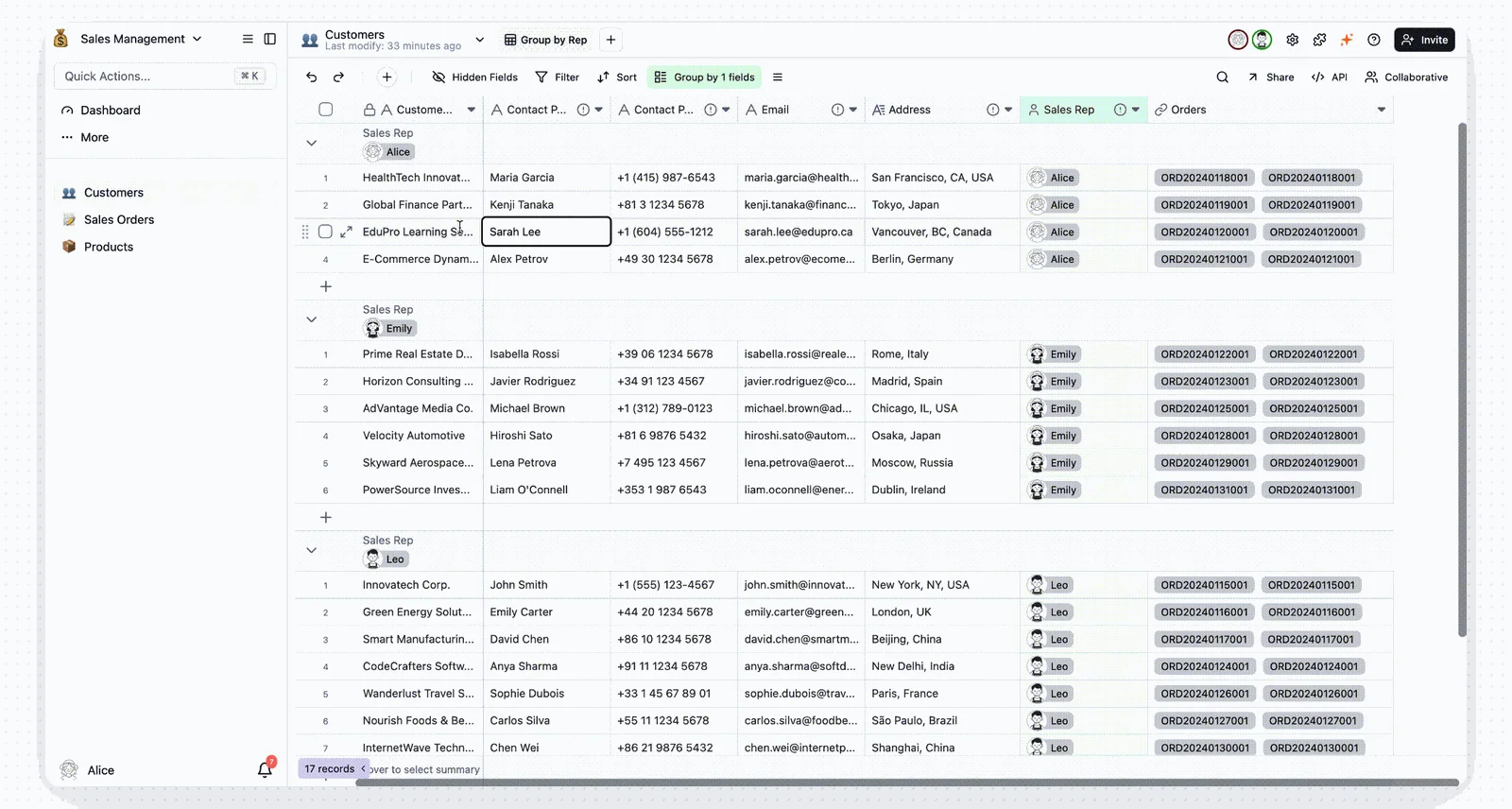Sales Director view after permissions are configured