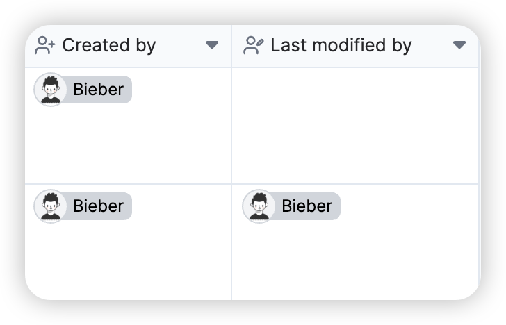Creator and Last Modified User Fields screenshot