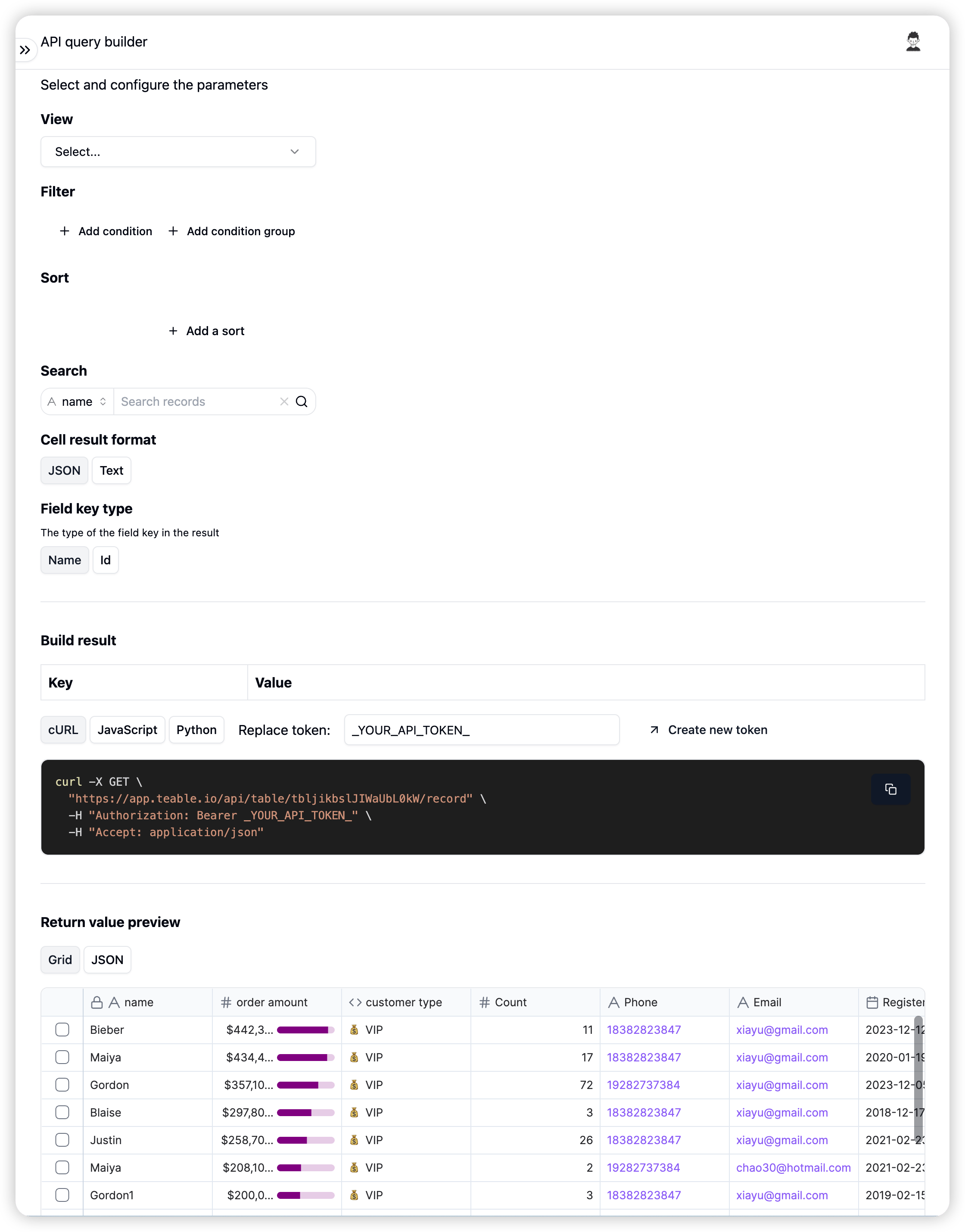 API Query Builder screenshot