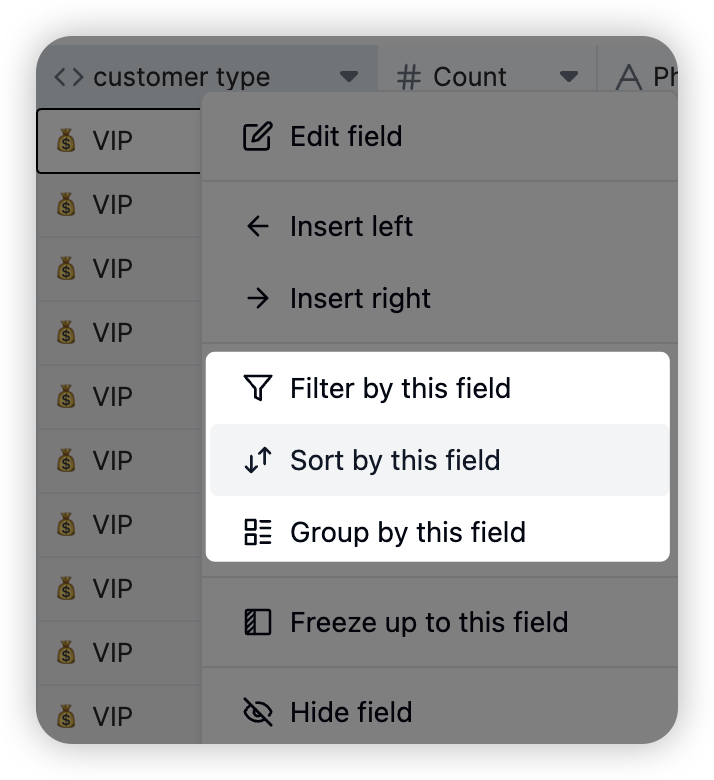 Quick Filter, Sort, and Group via Field Name Right-click screenshot
