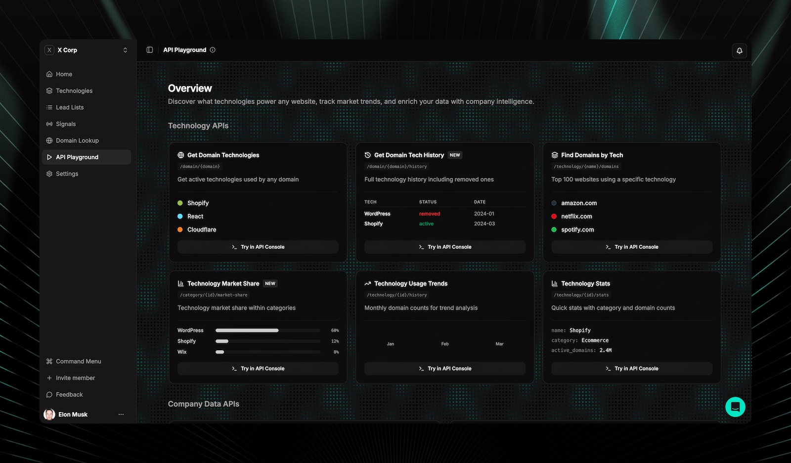 API Playground showing Technology APIs and Company Data APIs with interactive Try in API Console buttons for each endpoint