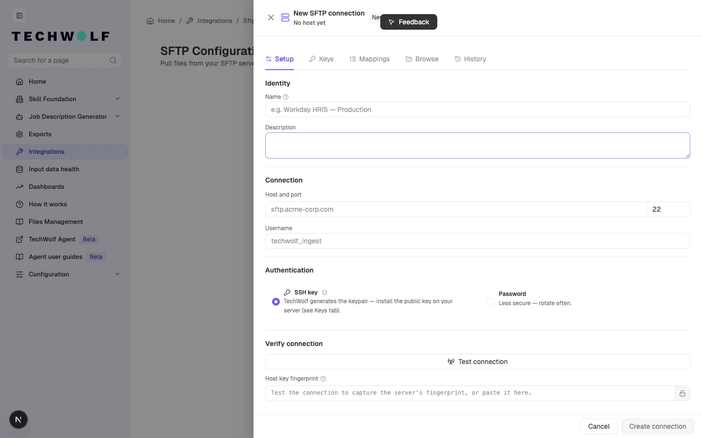 Empty connection drawer on the Setup tab