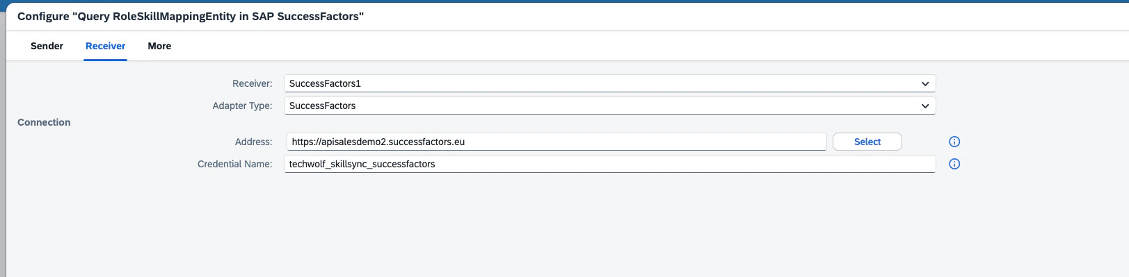 Query RoleSkillMappingEntity: Receiver tab with Address and Credential Name filled in