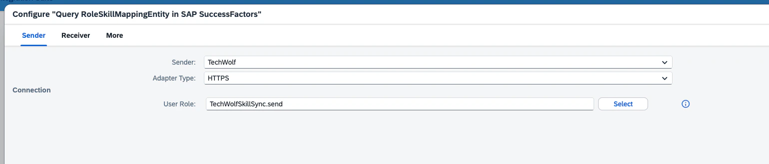 Query RoleSkillMappingEntity: Sender tab with User Role filled in