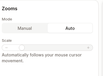The Manual and Auto controls for a selected zoom