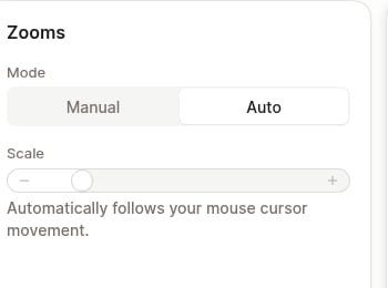 The Manual and Auto controls for a selected zoom