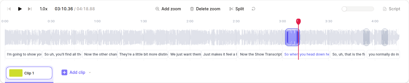 The Zoom timeline with zoom cards over the waveform and transcript