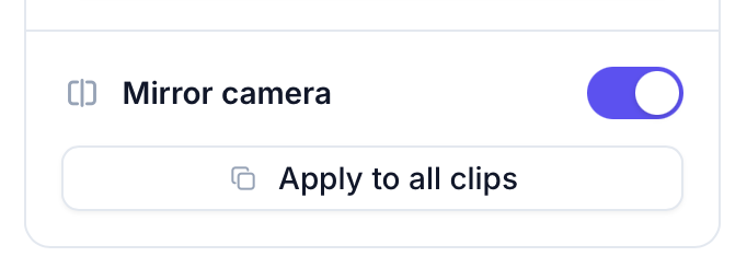 Mirror camera toggle in the Adjust menu