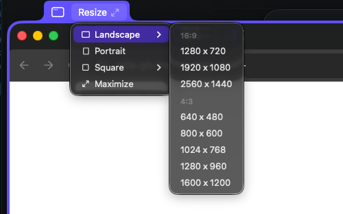 The Landscape submenu showing 16:9 and 4:3 sizes