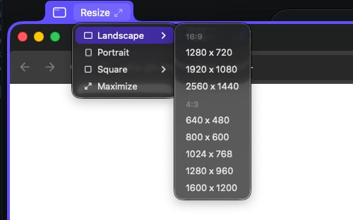 The Landscape submenu showing 16:9 and 4:3 sizes