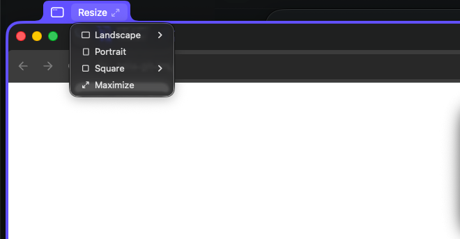 The Resize menu with Landscape, Portrait, Square, and Maximize