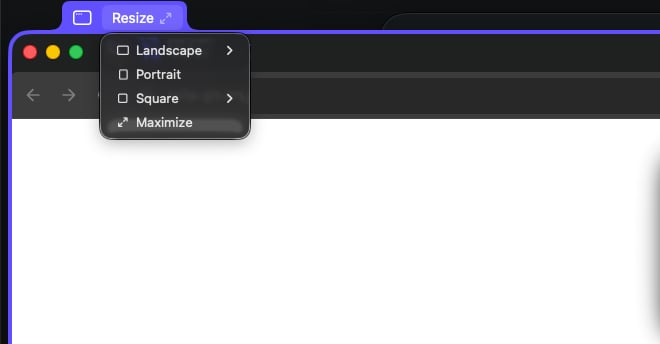 The Resize menu with Landscape, Portrait, Square, and Maximize
