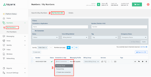 Genesys Cloud & Telnyx Number Configuration