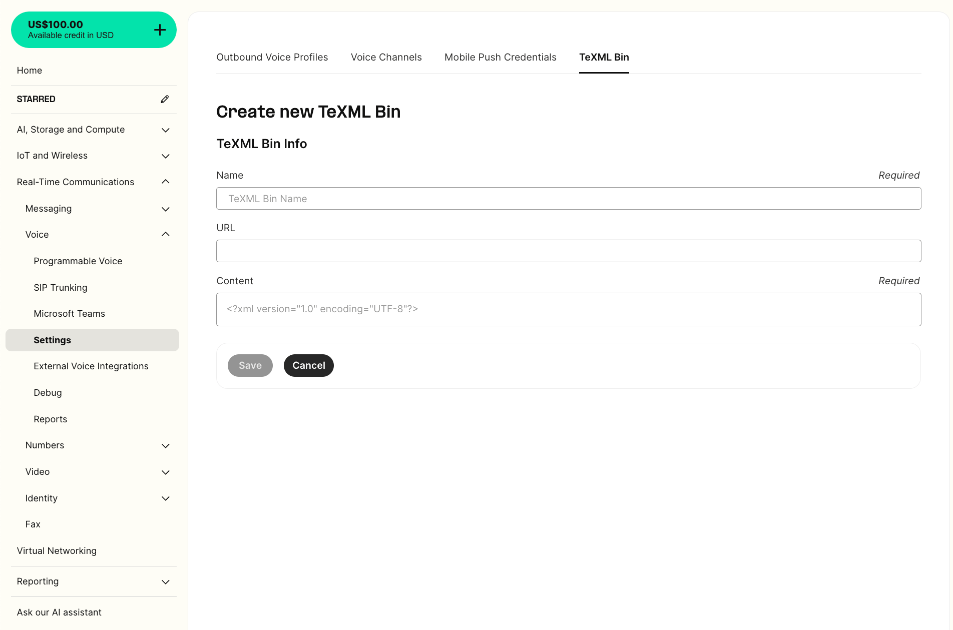 Storing instructions using TeXML bin