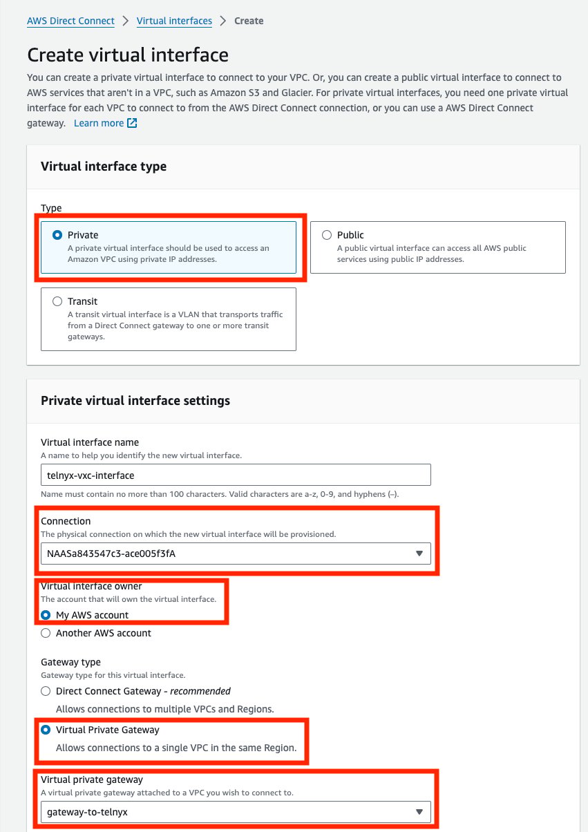 AWS Virtual Interface 1