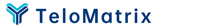 light logo