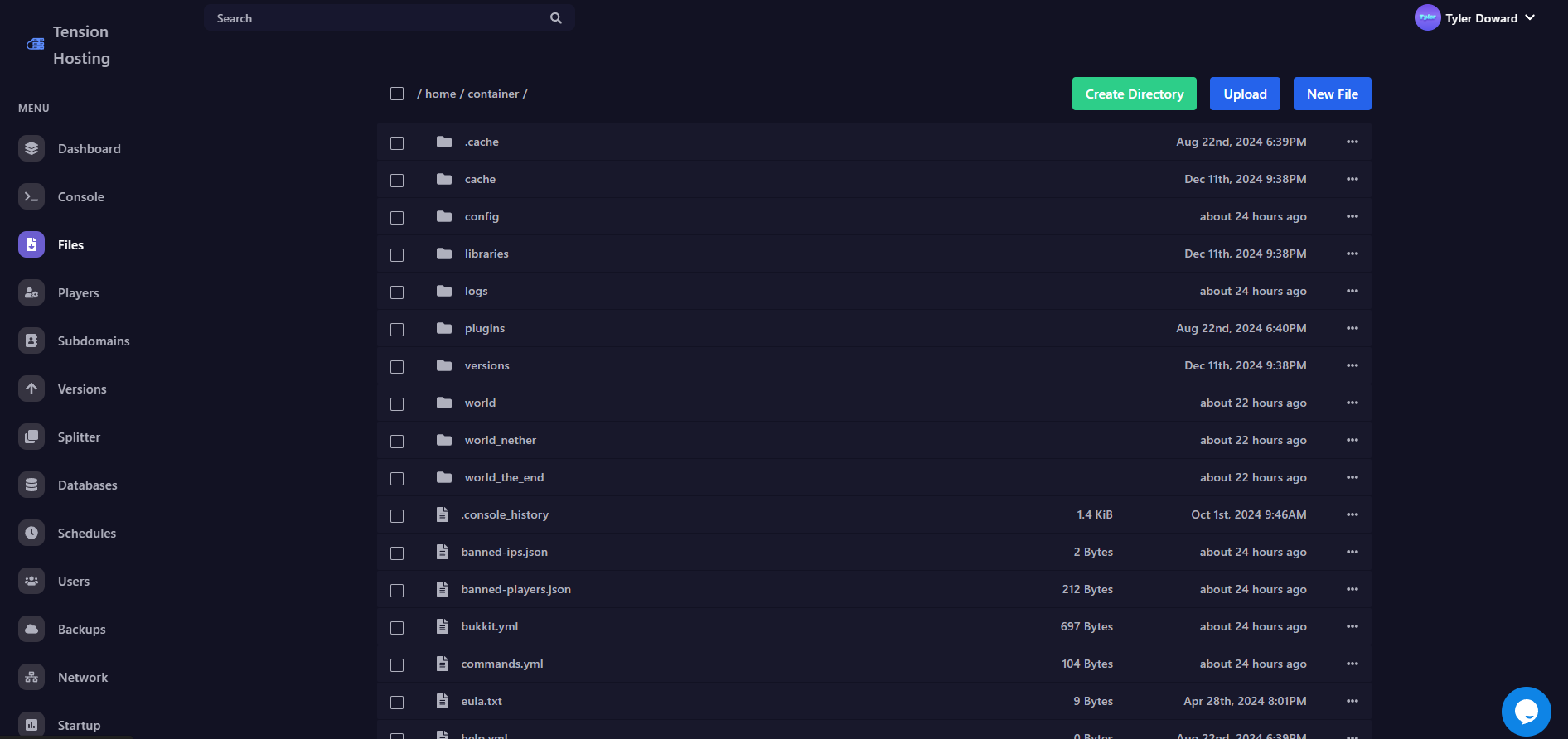 Screnshot of the File area on Tension panel
