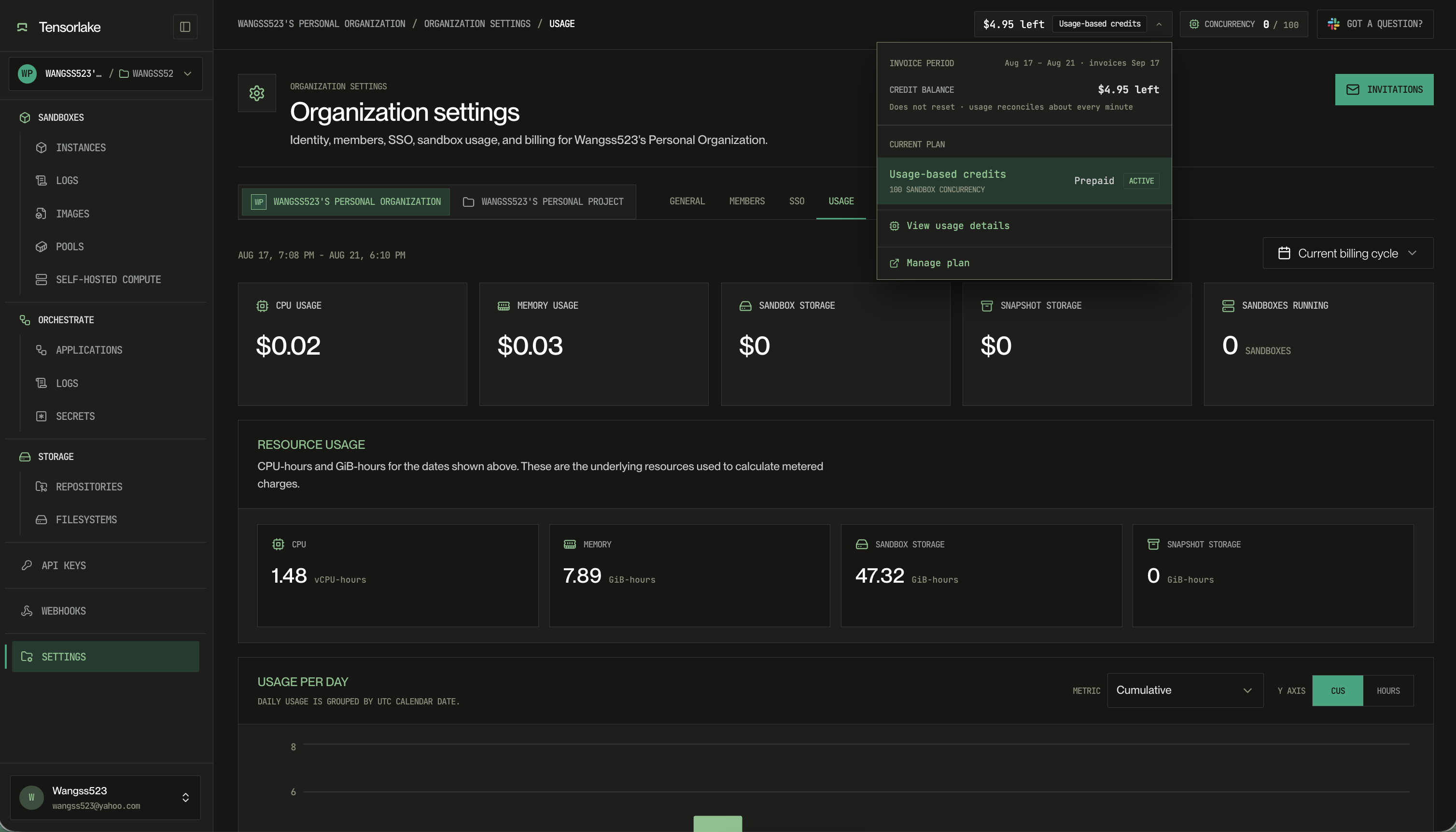 Usage tab in organization settings, with cost tiles for CPU, memory, sandbox storage, and snapshot storage, plus resource usage in vCPU-hours and GiB-hours