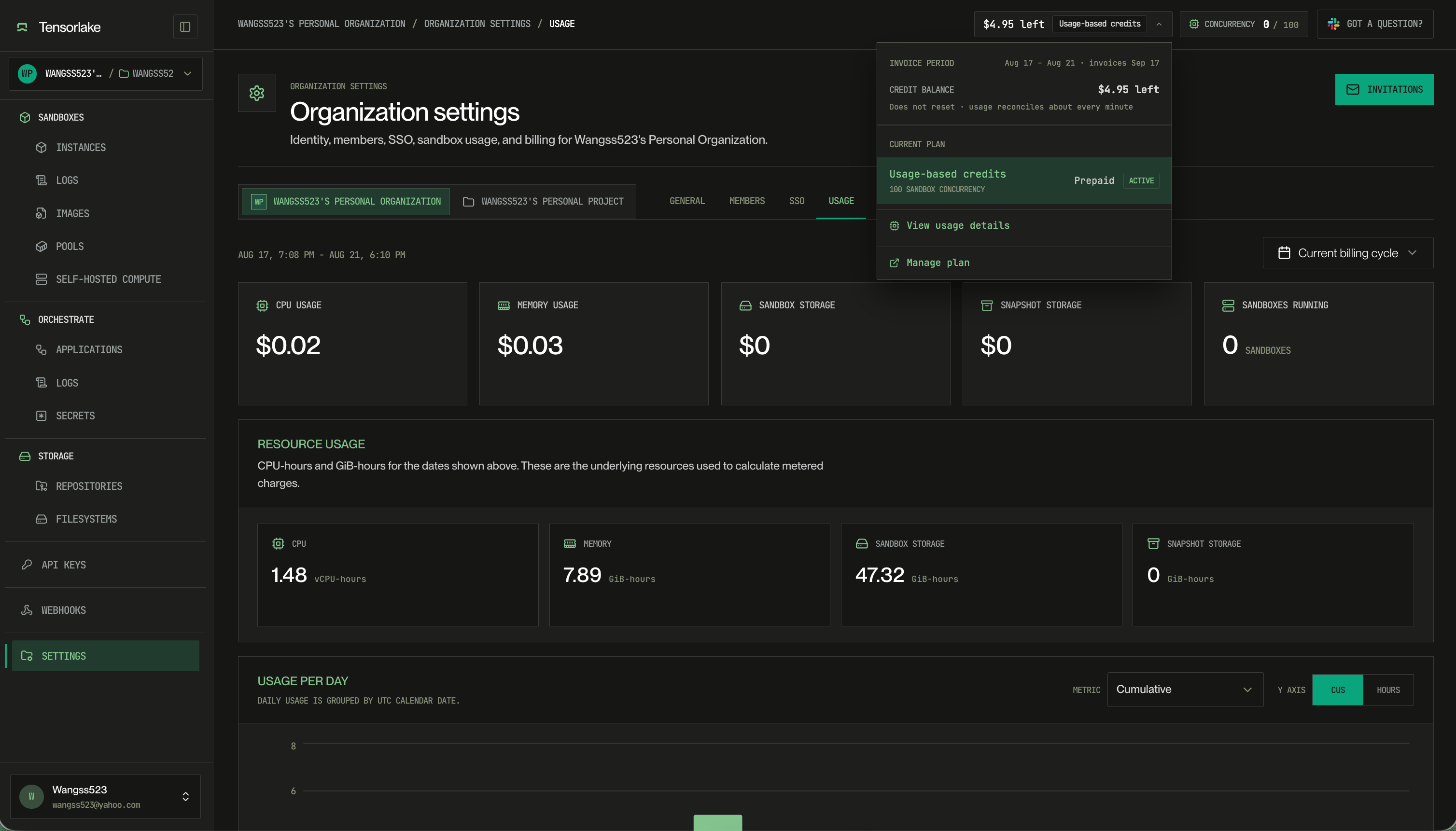 Usage tab in organization settings, with cost tiles for CPU, memory, sandbox storage, and snapshot storage, plus resource usage in vCPU-hours and GiB-hours