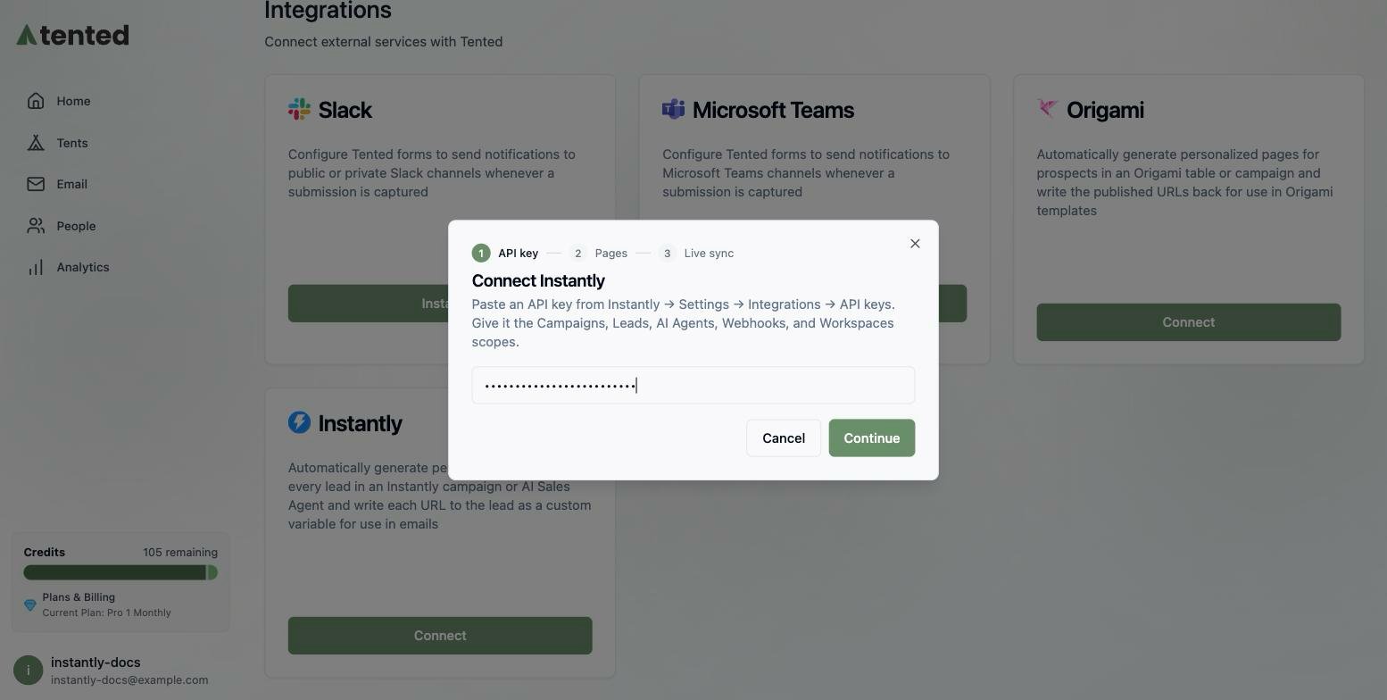 The Connect Instantly dialog asking for an API key.