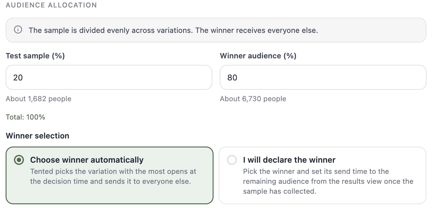 A screenshot of the Audience allocation section with Test sample at 20 percent and Winner audience at 80 percent, above the Winner selection radios.