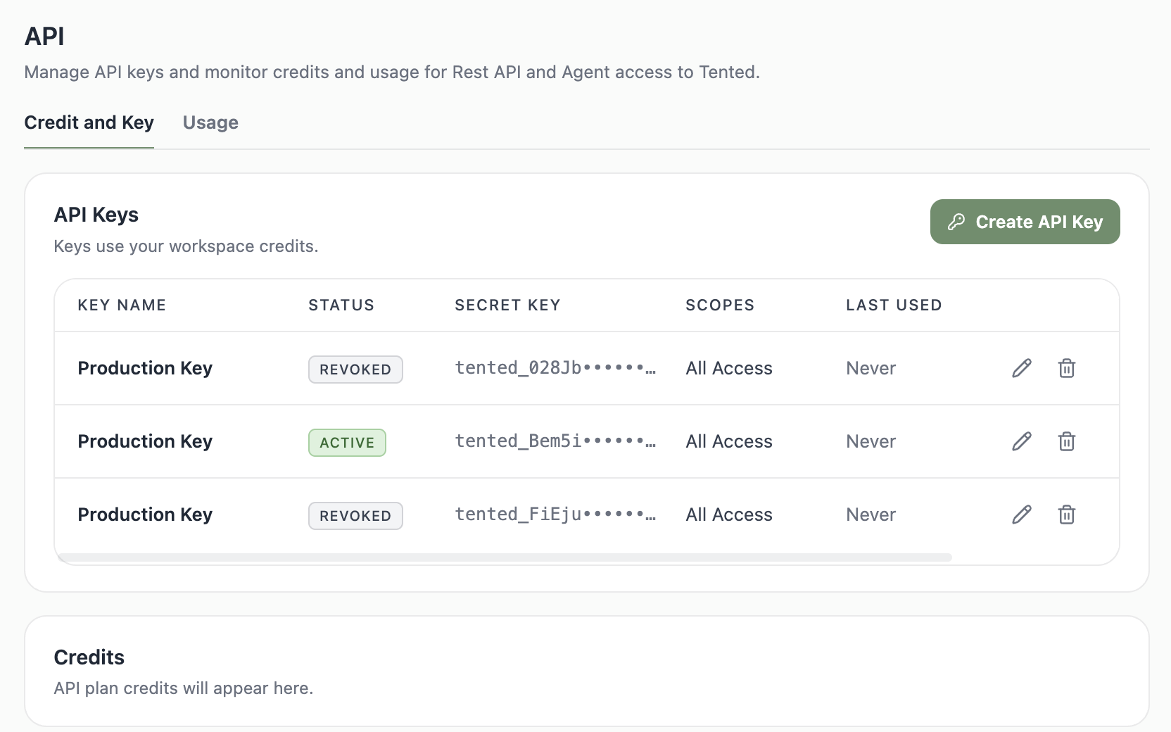 A screenshot of the API Keys list showing a key with its masked value, status, scope, and dates.