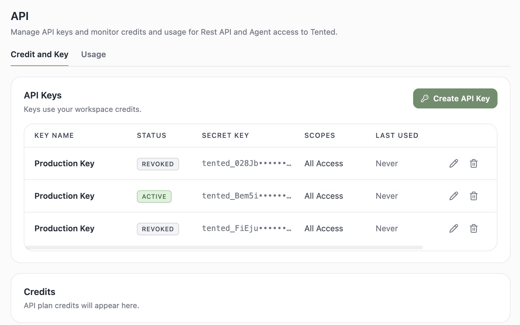 A screenshot of the API Keys list showing a key with its masked value, status, scope, and dates.