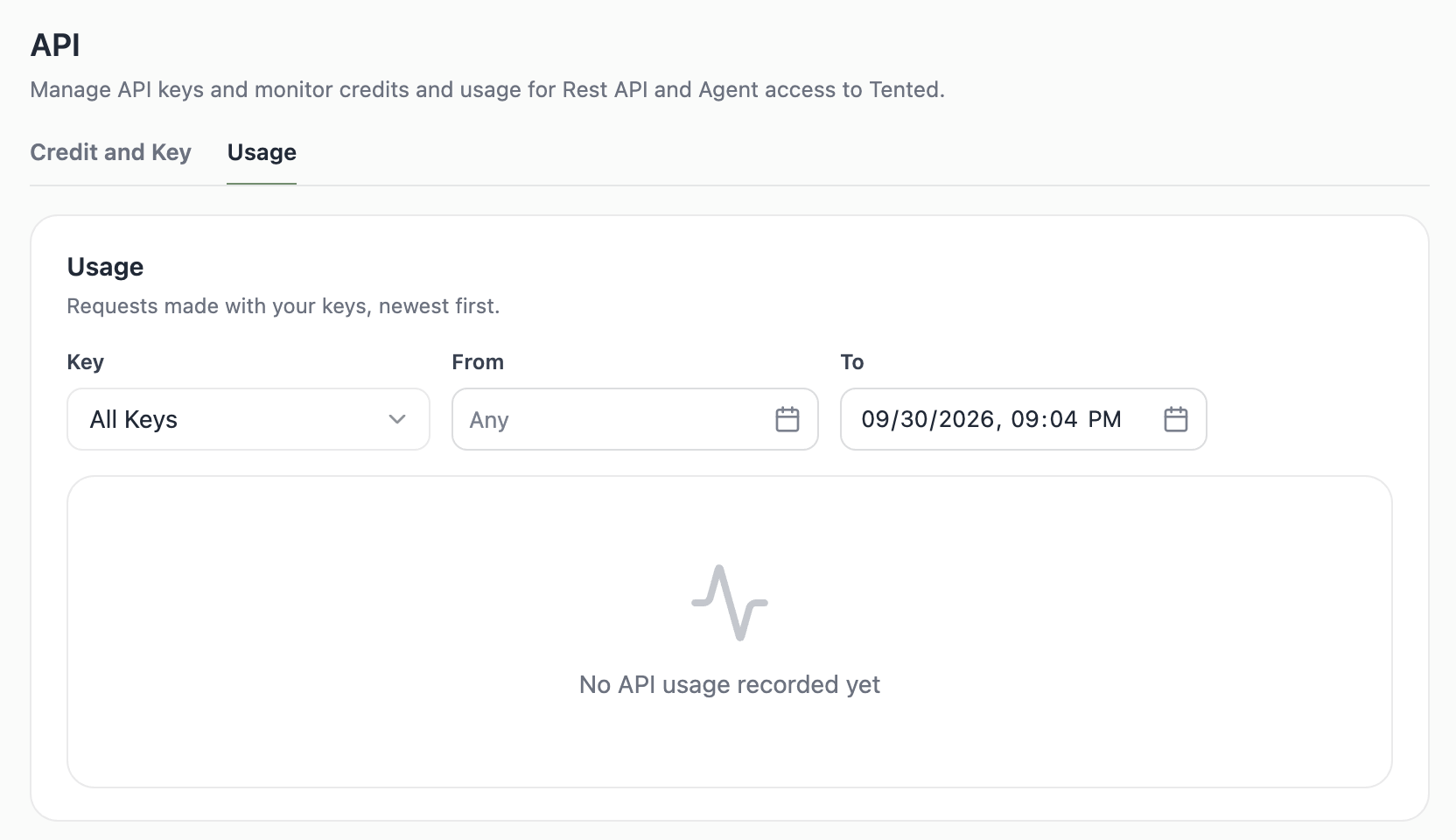 A screenshot of the API Usage tab with filters for key and date range.