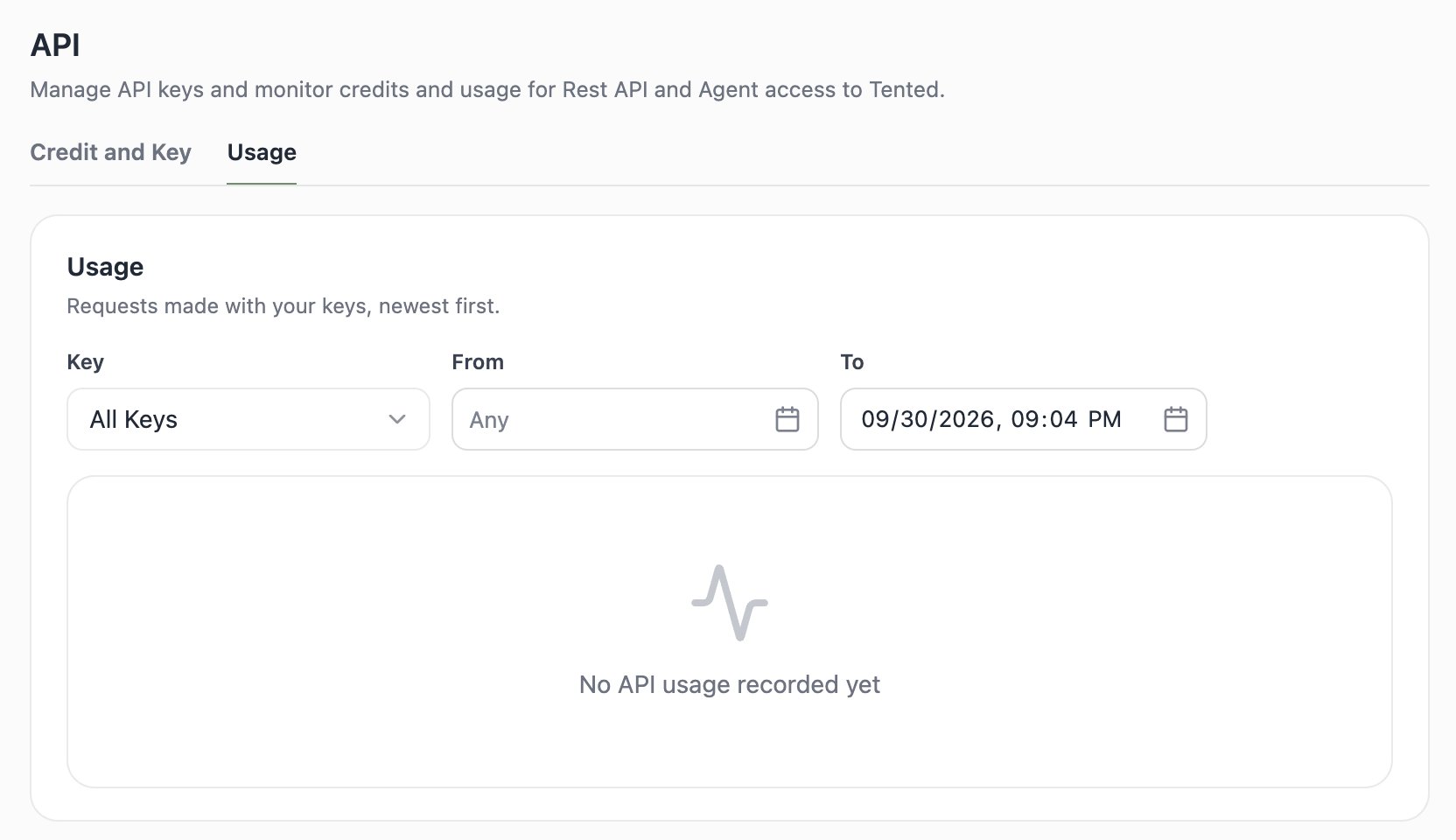 A screenshot of the API Usage tab with filters for key and date range.