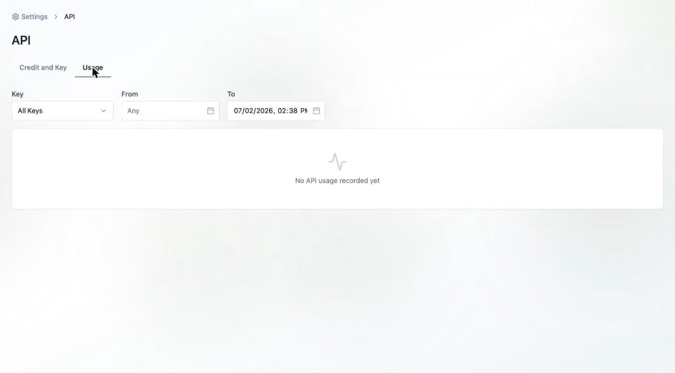 A screenshot of the API Usage tab with filters for key and date range.