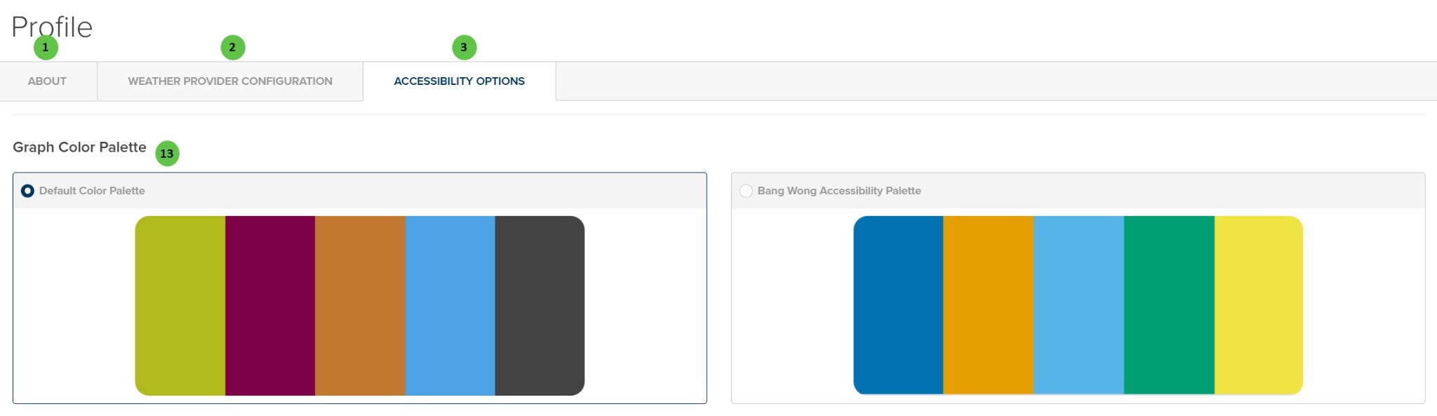 Profile Accessibility Options Tab