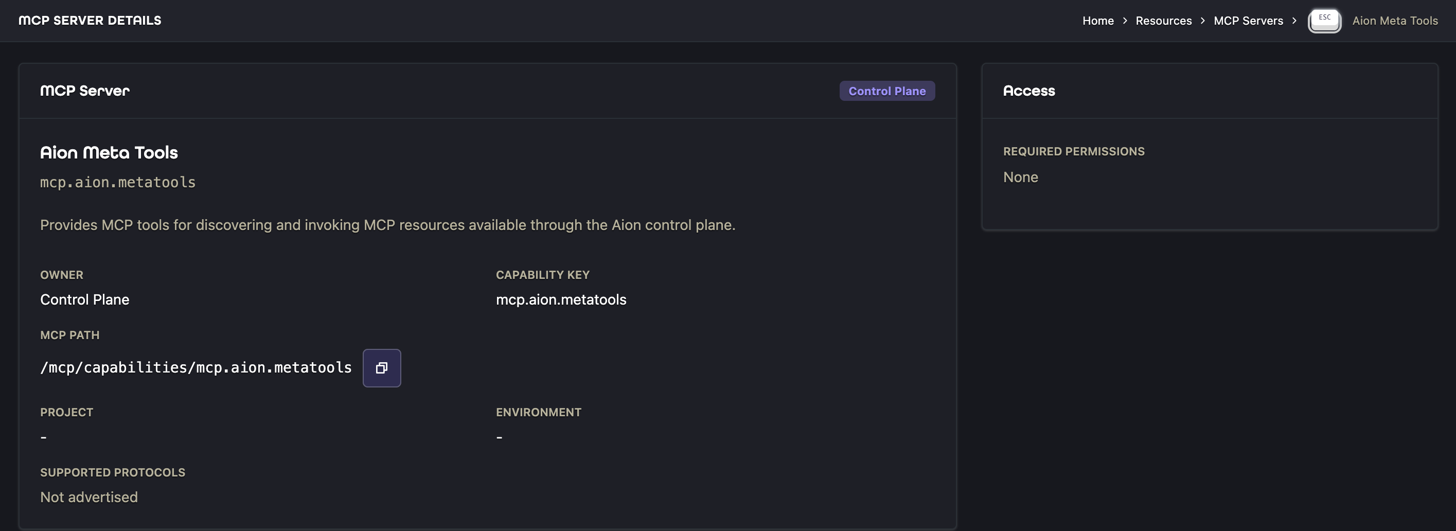 Aion Meta Tools details showing its control-plane endpoint and access requirements