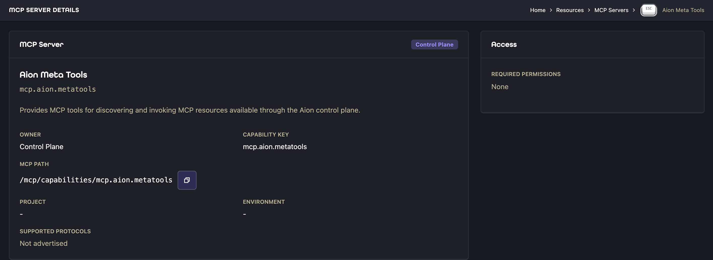 Aion Meta Tools details showing its control-plane endpoint and access requirements
