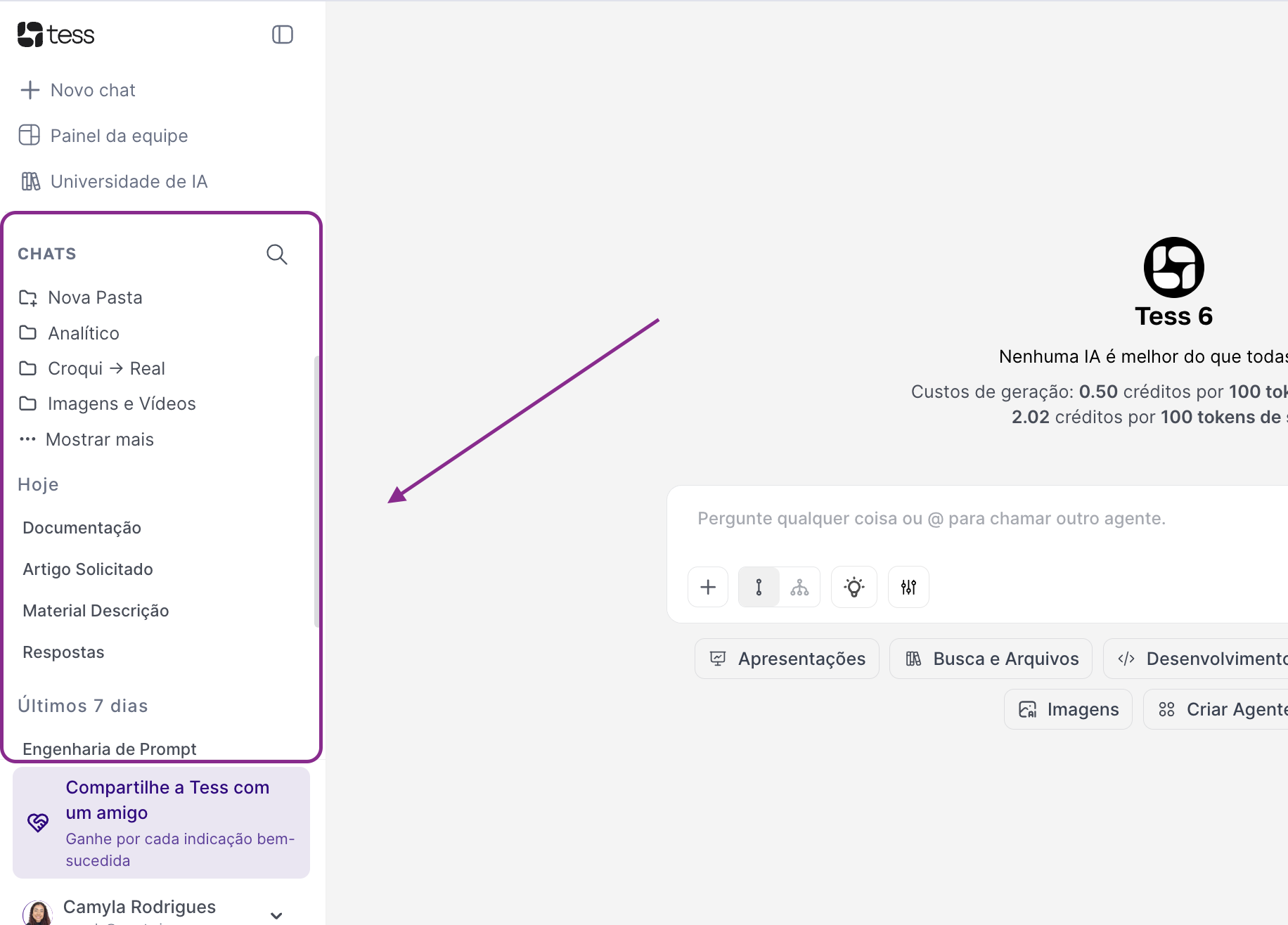 Tessdocs Chat History