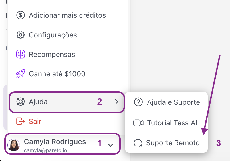 Tessdocs Suporte Remoto1