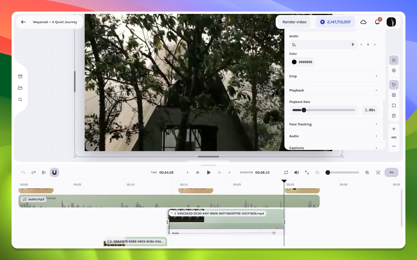 Video inspector open to Playback controls