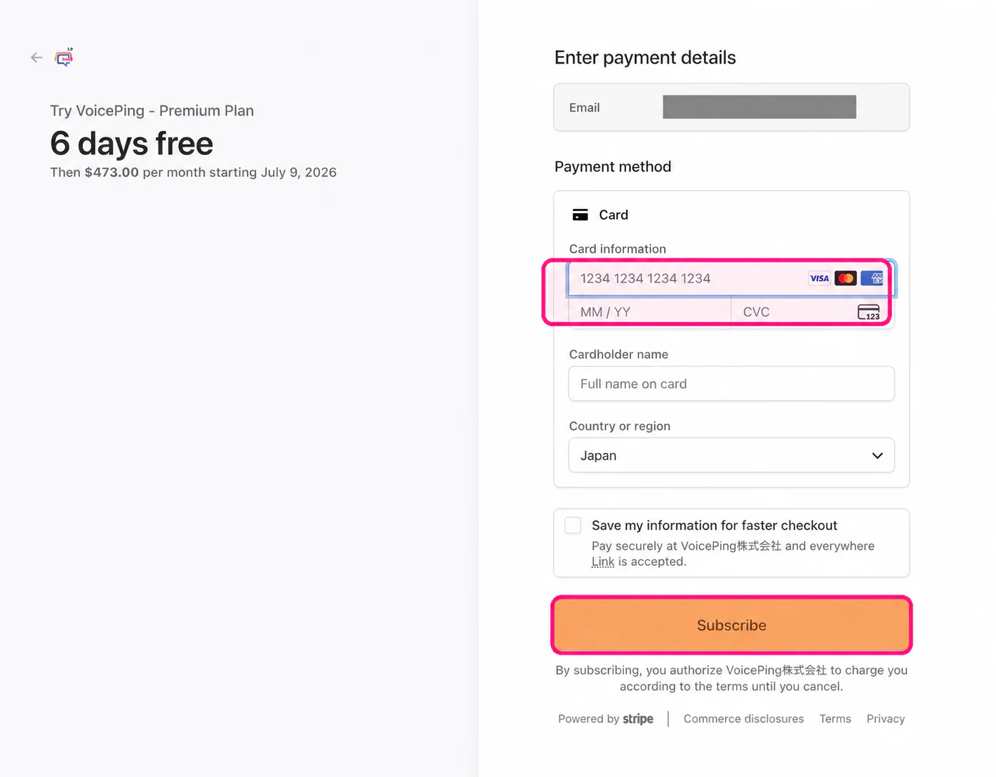 在 Stripe 結帳頁面輸入信用卡資訊並點選 Subscribe
