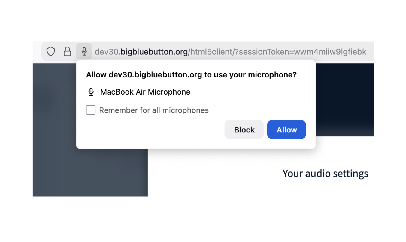 Allow audio in Firefox