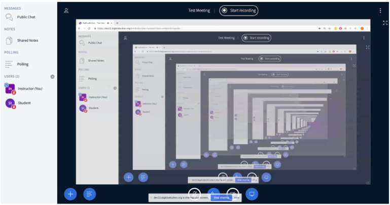 Mirrored broadcast view of the shared screen